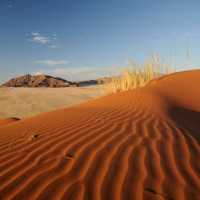 The dunes at Sossusvlei turn shades of apricot at sunrise and crimson at sunset | Andrew Thomasson