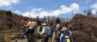 Ascending Mt Kilimanjaro | Peter Brooke