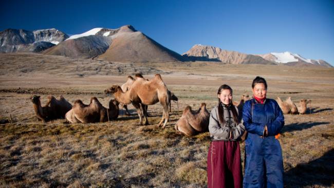 Local herders with their camels on the Mongolian steppe |  Cam Cope