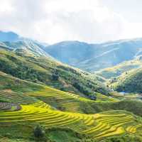 The famous rice field terraces of Northern Vietnam