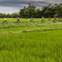 Rice paddy cycling in Vietnam | Richard I'Anson