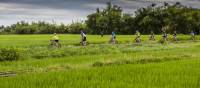 Rice paddy cycling in Vietnam | Richard I'Anson