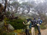 Walkers capturing the wilderness of Kosciuszko National Park |  <i>Jannice Banks</i>