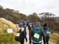 Walking in Kosciuszko National Park |  <i>Jannice Banks</i>