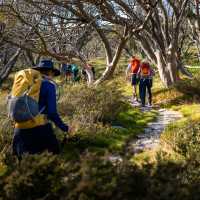 Hiking in the Kosciuszko National Park on the Snowies Alpine Walk | Lachlan Gardiner