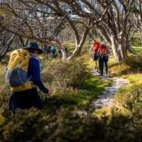 Hiking in the Kosciuszko National Park on the Snowies Alpine Walk | Lachlan Gardiner