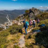 Hikers on our Snowies Alpine Walk experience | Lachlan Gardiner
