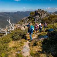 Hikers on our Snowies Alpine Walk experience | Lachlan Gardiner