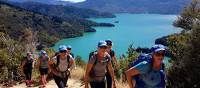 Trekking above Marlborough Sounds | Ross Daubney