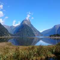 Tranquil beauty of Milford Sound | Alain Goerens