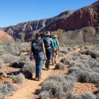 Social distanced walking along the Larapinta Trail | #cathyfinchphotography