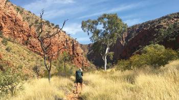 Walking towards Ormiston Gorge | Ayla Rowe