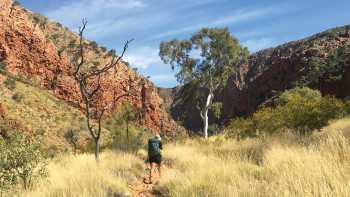 Walking towards Ormiston Gorge | Ayla Rowe
