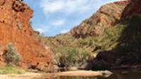 Beautiful Ormiston Gorge. |  <i>Ayla Rowe</i>