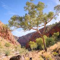 Beautiful outback scenery on the Larapinta Trail | Luke Tscharke