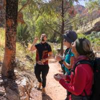 The cultural conversation at Standley Chasm will teach you more about Arrente country | Luke Tscharke