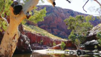 Ormiston Gorge in the Northern Territory | Alan Levy