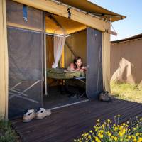 Relaxing at our exclusive eco-comfort camps on the Larapinta | Shaana McNaught