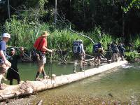 Trekkers crossing the Brown River on Day 5 of the Kokoda Trail |  <i>Rachael Davis</i>