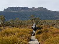 Walking on the Overland Track |  <i>Linda Murden</i>