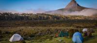 Spectacular views of Barns Bluff on the Overland Track | Mark Whitelock