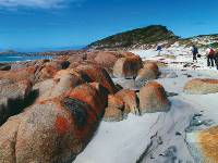 The Bay of Fires in Tasmania's north east |  <i>Steve Trudgeon</i>