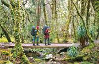 Walking in Cradle Mountain Lake St Clair National Park |  <i>Don Fuchs</i>
