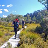 The Overland Track offers well maintained boardwalks to protect the fragile environment | Chris Buykx