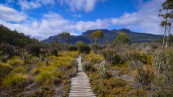 The Overland Track, Tasmania's most famous walk | Mark Whitelock