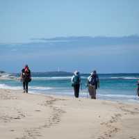 Walk along remote pristine beaches on the Cape to Cape walk