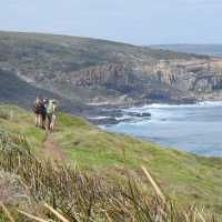 Wilyabrup view on Cape to Cape tour