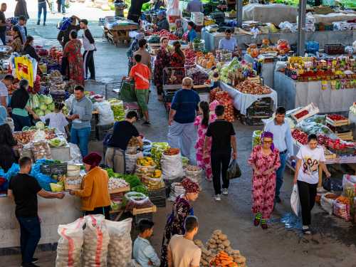 Explore Samarkand's colourful and lively market |  Lachlan Gardiner