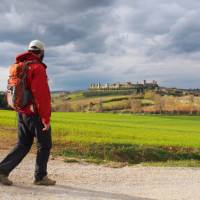 A walker admiring the hilltop town of Monteriggioni on the Via Francigena, Italy | Brad Atwal