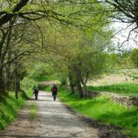 Pilgrims on the trail to Santiago in the Galicia region | Erin Williams