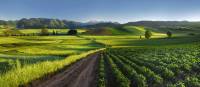 Vineyard in Rioja, a region known for its gastronomic riches