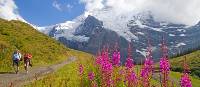 Hiking along the Alpine Pass Route | Andrew Bain