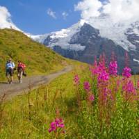 Hiking along the Alpine Pass Route | Andrew Bain