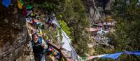 The vibrant trail leading to Taktsang Monastery | Richard I'Anson