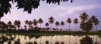 The Keralan backwaters of Southern India | David Lazar