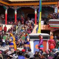 Festival | Margie Thomas