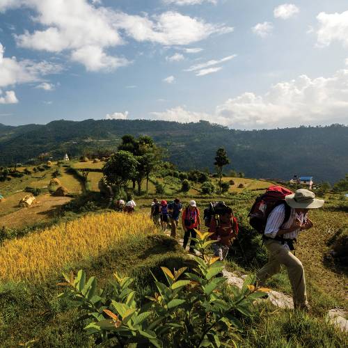 Trekking along verdant trails in the Annapurna region