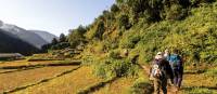Walking alongside fields of rice and millet towards Ghandruk in the Annapurna Region, Nepal | Joe Kennedy
