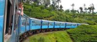 Tea plantations near Ella | Michael Pike