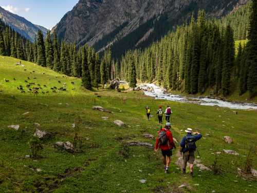 LachlanGardiner_WorldEx_Kyrgyzstan2024_HIGHRES-P1437821 |  Lachlan Gardiner